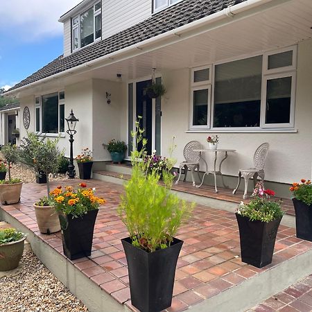 ווימבורן מינסטר Woodland House B & B מראה חיצוני תמונה