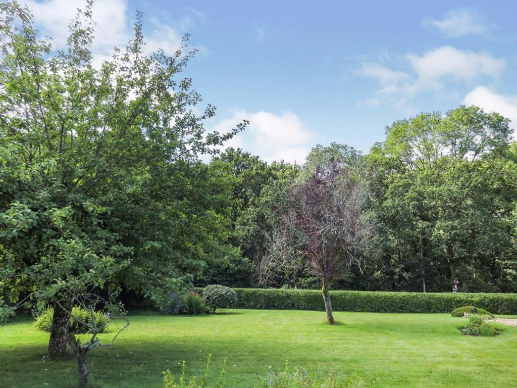 ווימבורן מינסטר Woodland House B & B מראה חיצוני תמונה