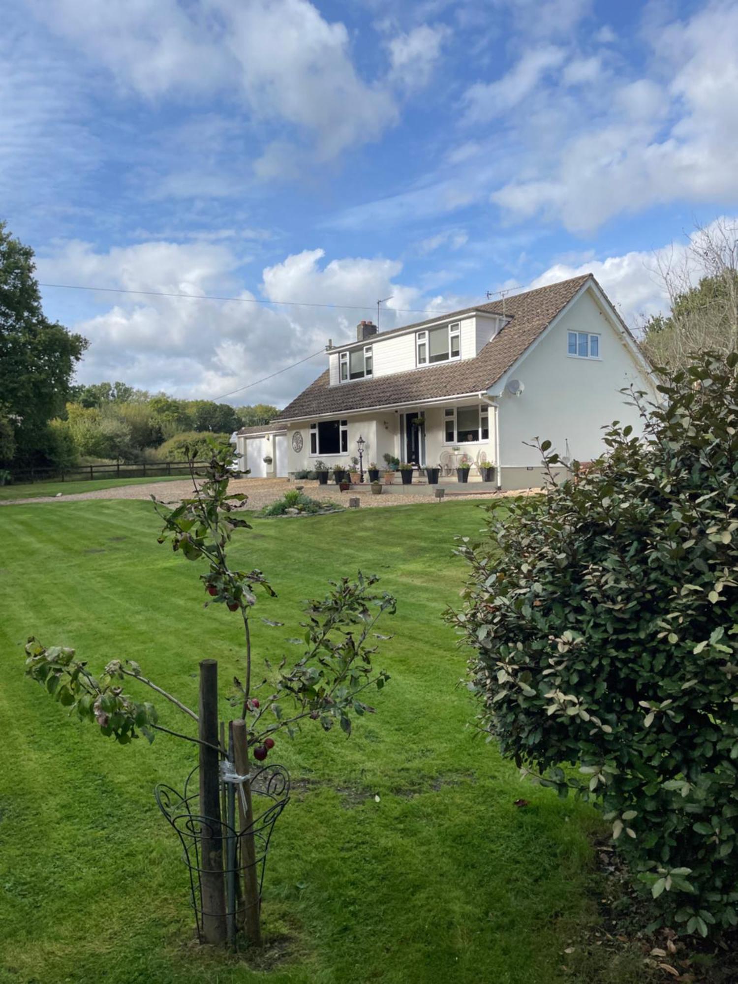 ווימבורן מינסטר Woodland House B & B מראה חיצוני תמונה